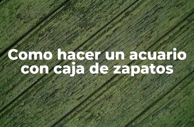 Como Hacer un Acuario con Caja de Zapatos