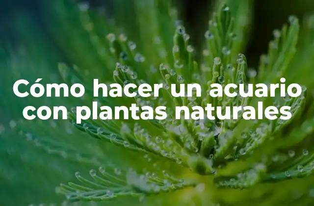 Cómo Hacer un Acuario con Plantas Naturales