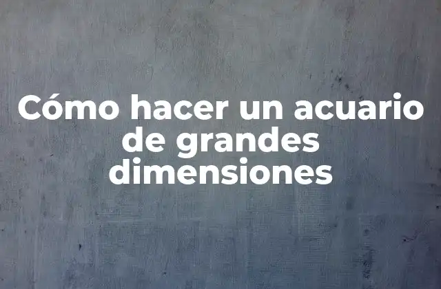 Cómo Hacer un Acuario de Grandes Dimensiones