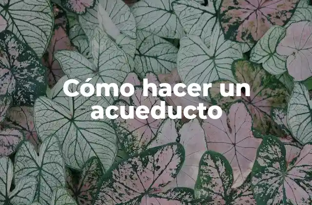 Cómo Hacer un Acueducto