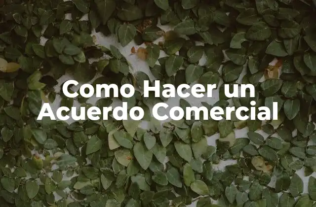 Como Hacer un Acuerdo Comercial