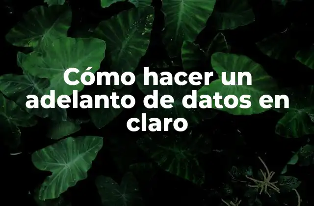 Cómo Hacer un Adelanto de Datos en Claro