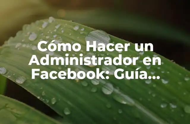 Cómo Hacer un Administrador en Facebook: Guía Detallada