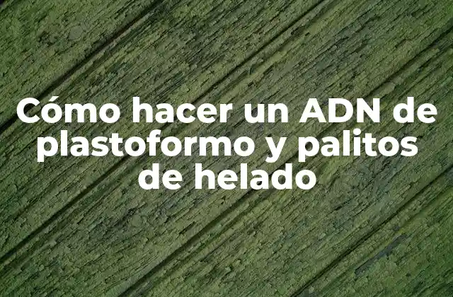 Cómo Hacer un Adn de Plastoformo y Palitos de Helado