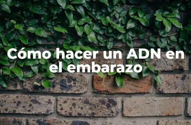 Cómo Hacer un Adn en el Embarazo