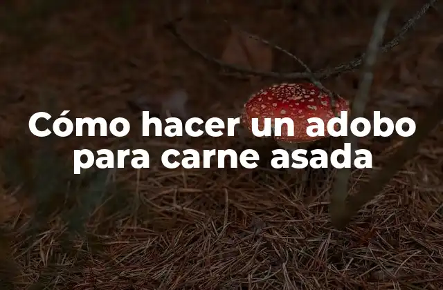 Cómo Hacer un Adobo para Carne Asada