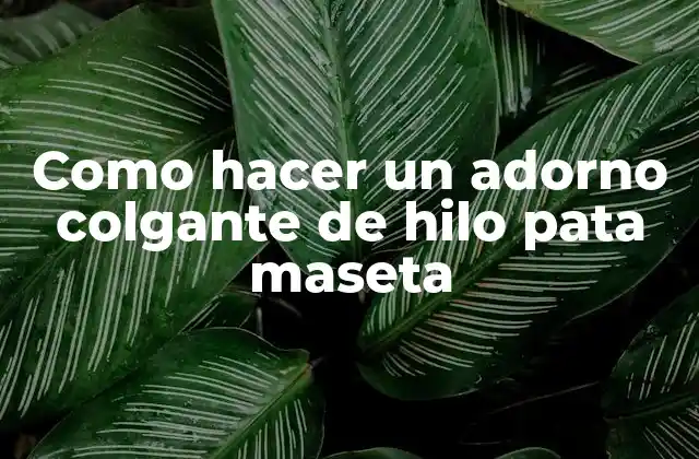 Como Hacer un Adorno Colgante de Hilo Pata Maseta