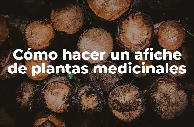 Cómo Hacer un Afiche de Plantas Medicinales
