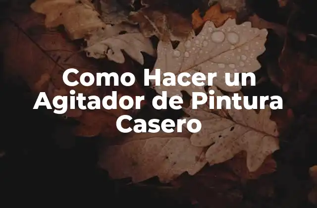 Como Hacer un Agitador de Pintura Casero