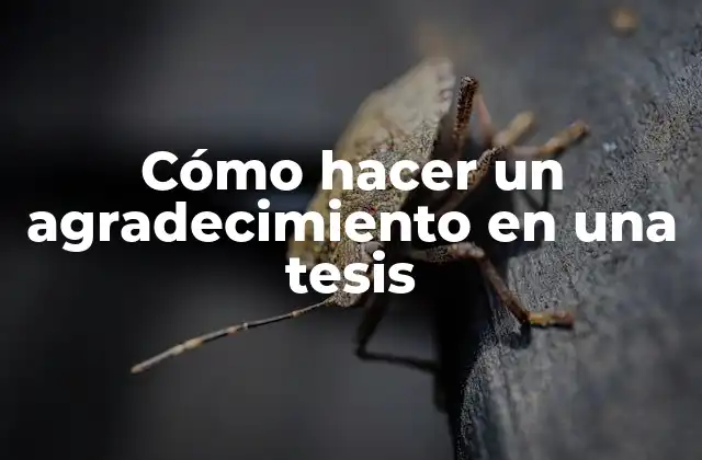 Cómo Hacer un Agradecimiento en una Tesis