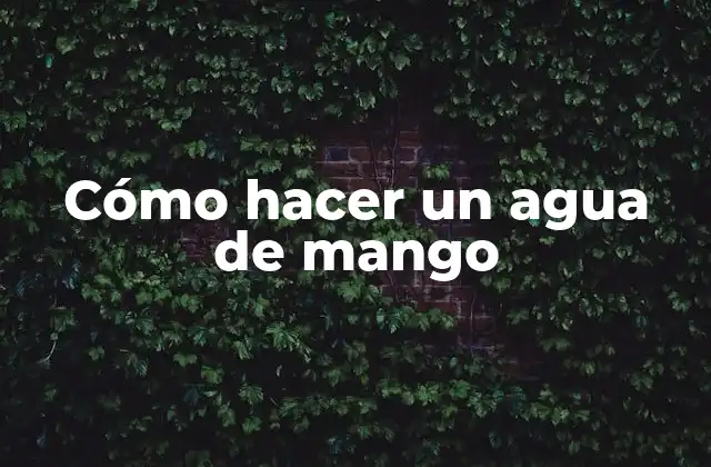Cómo Hacer un Agua de Mango