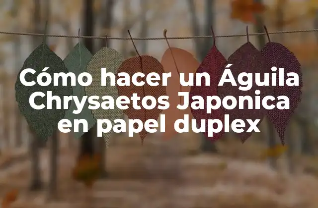Cómo Hacer un Águila Chrysaetos Japonica en Papel Duplex