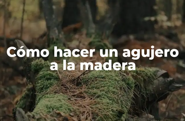 Cómo Hacer un Agujero a la Madera