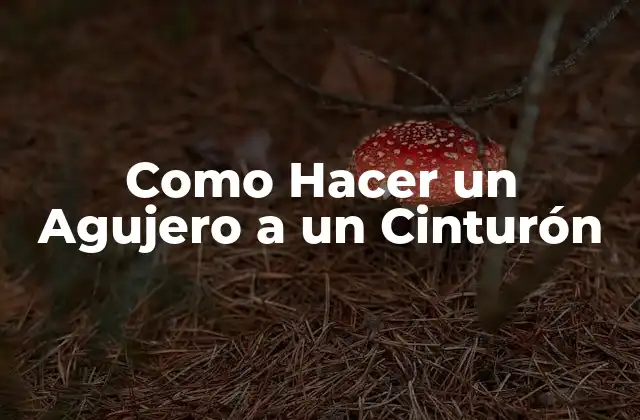 Como Hacer un Agujero a un Cinturón