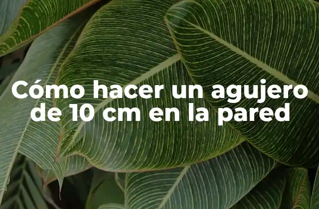 Cómo Hacer un Agujero de 10 Cm en la Pared