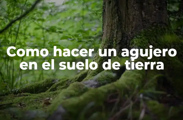 Como Hacer un Agujero en el Suelo de Tierra