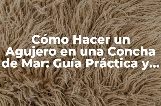 Cómo Hacer un Agujero en una Concha de Mar: Guía Práctica y Detallada