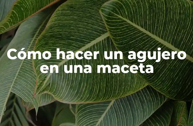 Cómo Hacer un Agujero en una Maceta