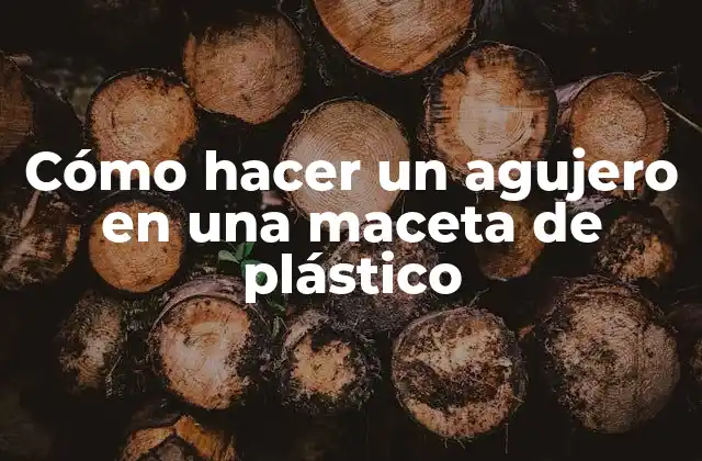 Cómo Hacer un Agujero en una Maceta de Plástico