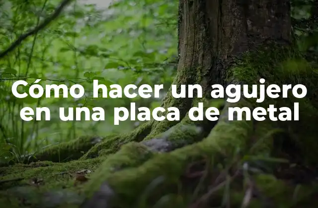 Cómo Hacer un Agujero en una Placa de Metal