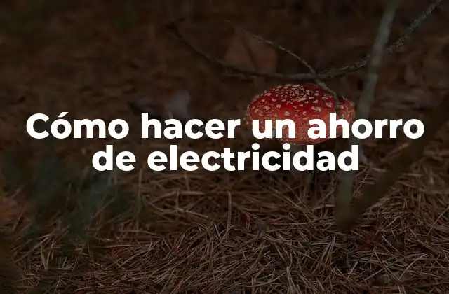 Cómo Hacer un Ahorro de Electricidad