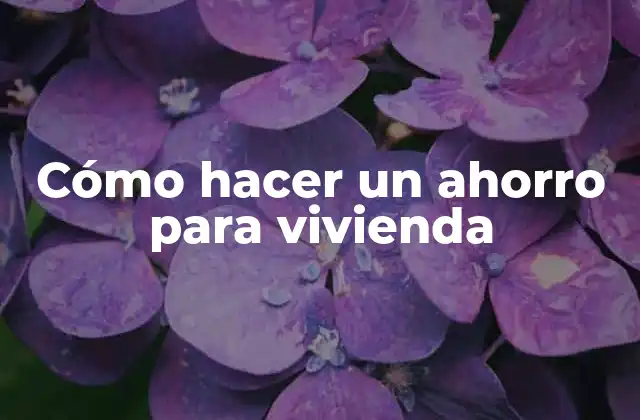 Cómo Hacer un Ahorro para Vivienda