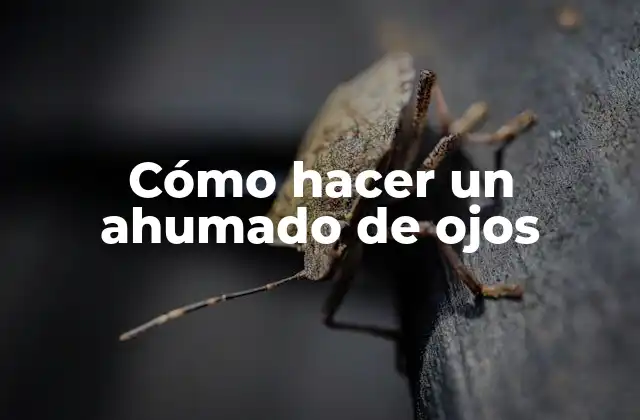 Cómo Hacer un Ahumado de Ojos