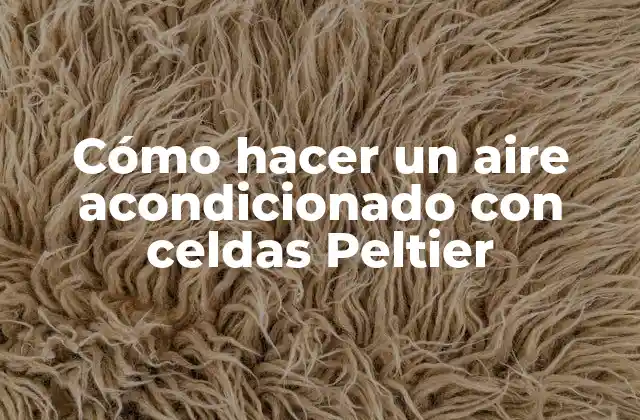 Cómo Hacer un Aire Acondicionado con Celdas Peltier