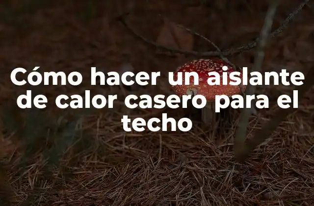 Cómo Hacer un Aislante de Calor Casero para el Techo