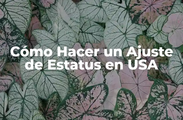 Cómo Hacer un Ajuste de Estatus en Usa