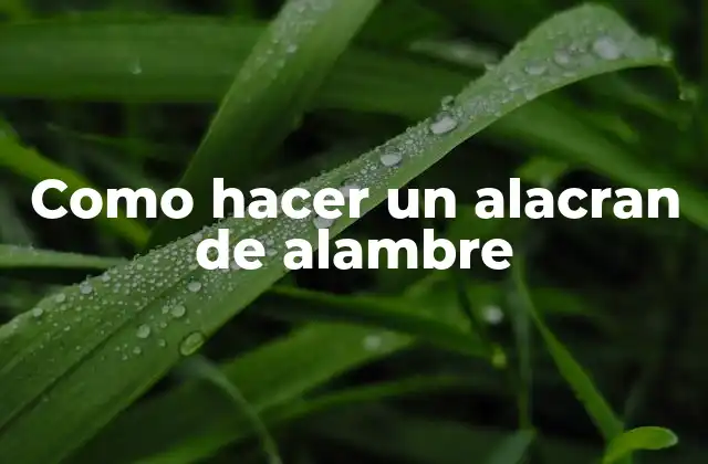 Como Hacer un Alacran de Alambre
