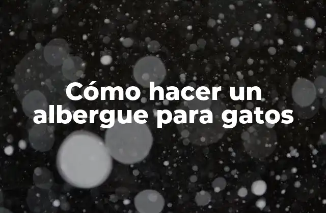 Cómo Hacer un Albergue para Gatos