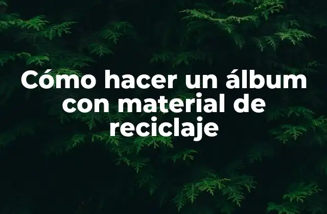 Cómo Hacer un Álbum con Material de Reciclaje