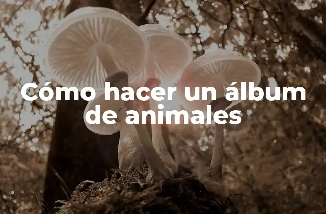Cómo Hacer un Álbum de Animales