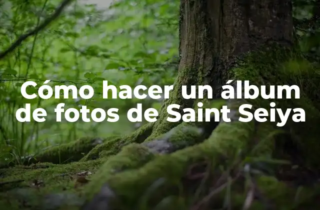 Cómo Hacer un Álbum de Fotos de Saint Seiya