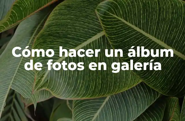 Cómo Hacer un Álbum de Fotos en Galería