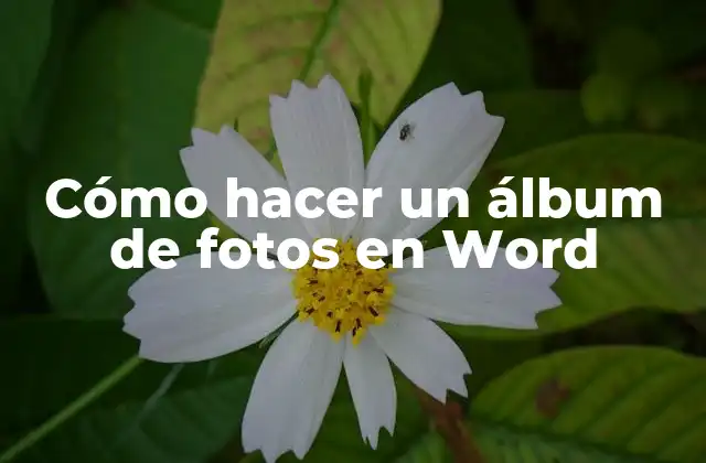Cómo Hacer un Álbum de Fotos en Word