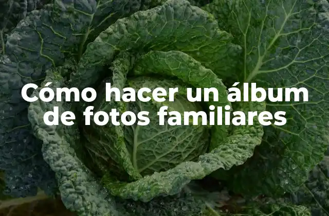 Cómo Hacer un Álbum de Fotos Familiares