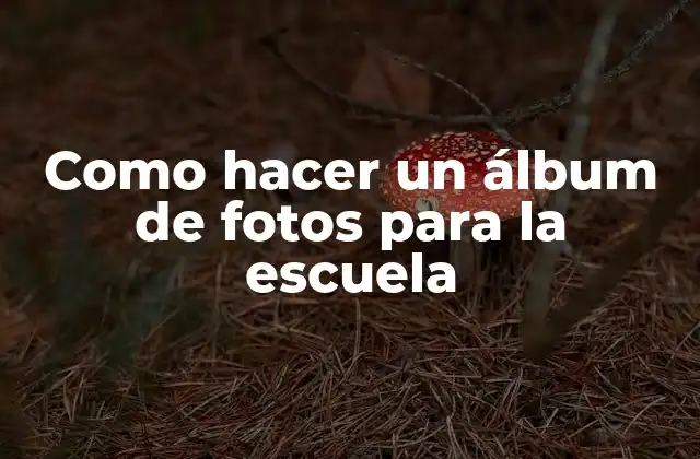 ¿Qué es un álbum de fotos escolar?