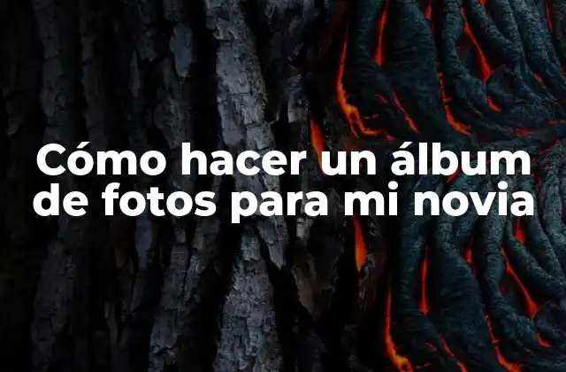 Cómo Hacer un Álbum de Fotos para Mi Novia