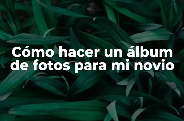 Cómo Hacer un Álbum de Fotos para Mi Novio