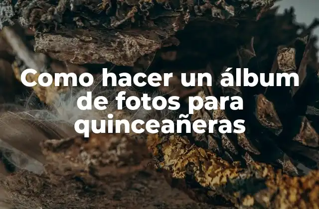 Como Hacer un Álbum de Fotos para Quinceañeras