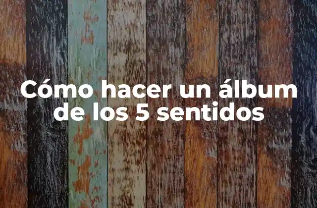 Cómo Hacer un Álbum de los 5 Sentidos