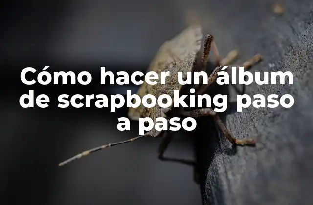 Cómo Hacer un Álbum de Scrapbooking Paso a Paso