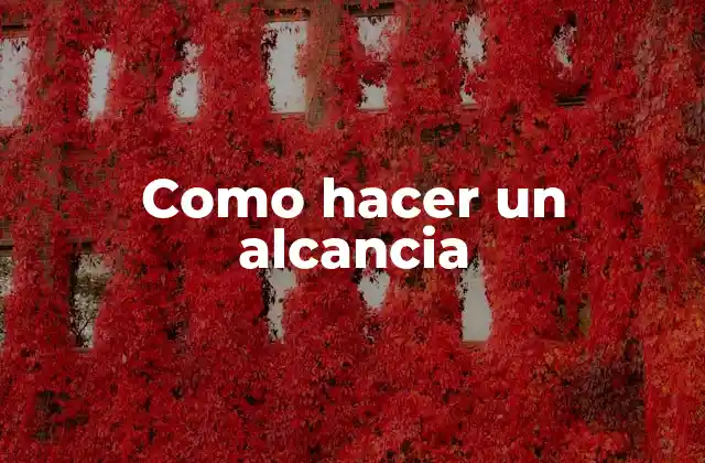 Como Hacer un Alcancia 2 ¿Qué es un alcancia?