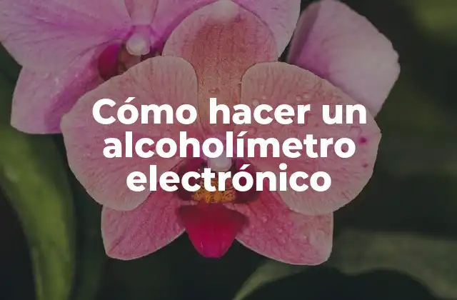 Cómo Hacer un Alcoholímetro Electrónico