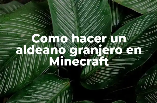 Como Hacer un Aldeano Granjero en Minecraft