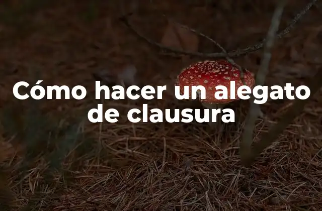 Cómo Hacer un Alegato de Clausura