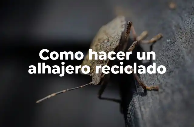 Como Hacer un Alhajero Reciclado