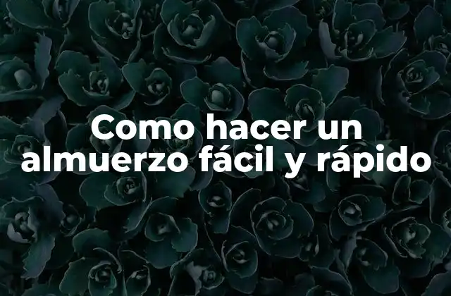 Como Hacer un Almuerzo Fácil y Rápido